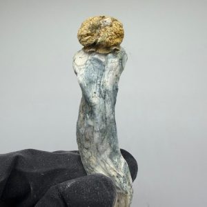 PENIS ENVY MUSHROOMS