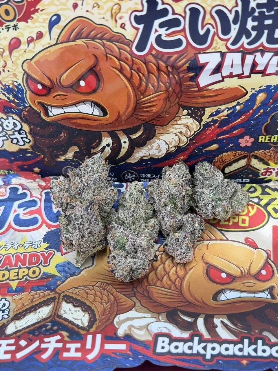 KANDY DEPO X BACKPACK BOYZ