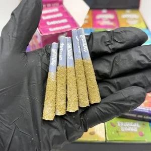 SNOOZIES PRE ROLLS