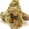 9 Pound Hammer - THC Vape Store UK