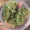 African - THC Vape Store UK