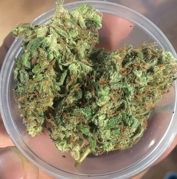 African - THC Vape Store UK