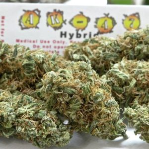 Ak 47