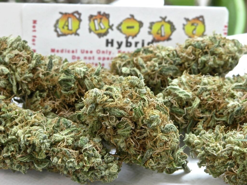 Ak 47 - THC Vape Store UK