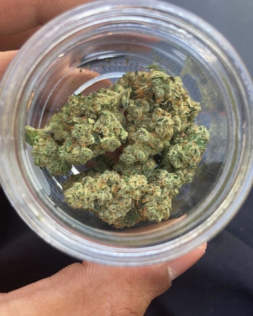 DURBAN POISON