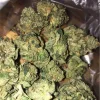 GSC - THC Vape Store UK