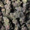 Gelato - THC Vape Store UK