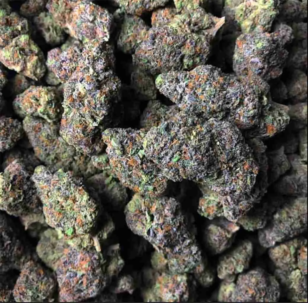 Gelato - THC Vape Store UK